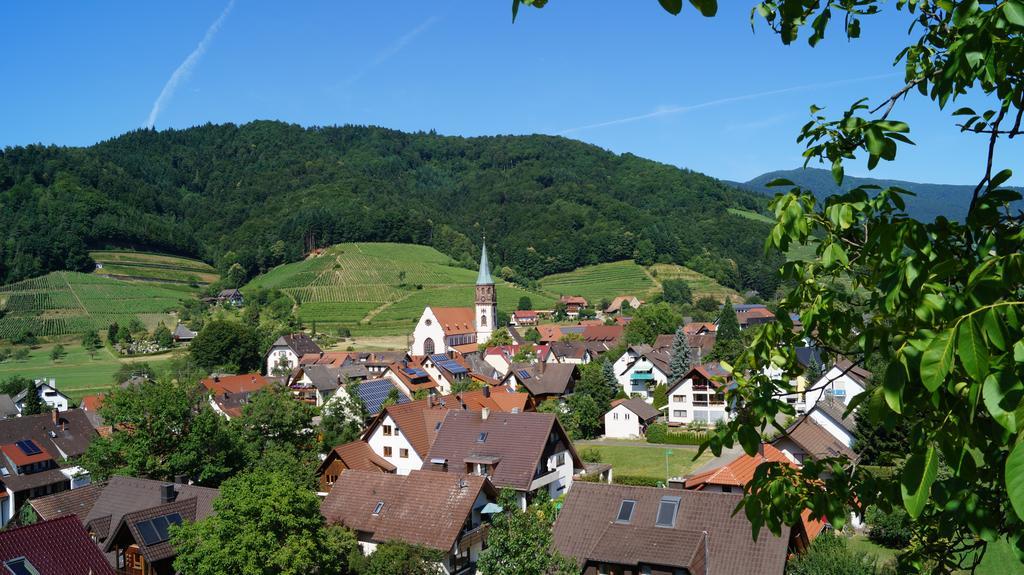 Hotel Schwarzenbergs Traube Глоттерталь Экстерьер фото